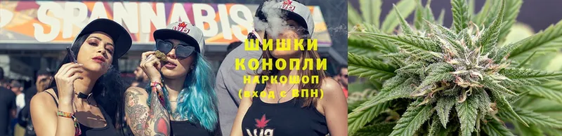 как найти   Кодинск  ссылка на мегу ТОР  Бошки марихуана Amnesia 